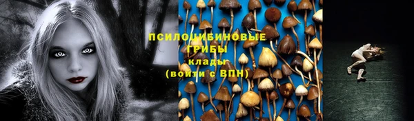spice Абинск