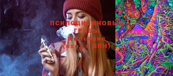 spice Абинск