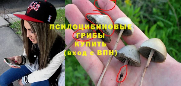 не бодяженный Абдулино