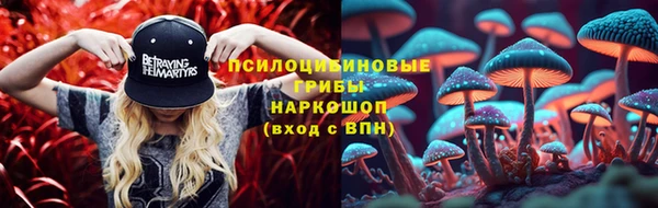 spice Абинск