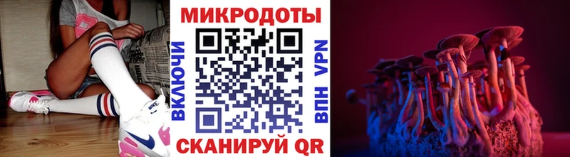 блэк спрут ТОР Сычёвка Псилоцибиновые грибы Psilocybe